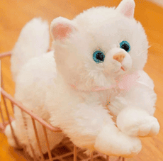 Stuff Toys