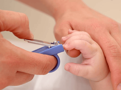 Nail Clipper